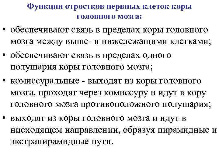 Функции отростков нервных клеток коры головного мозга: • обеспечивают связь в пределах коры головного