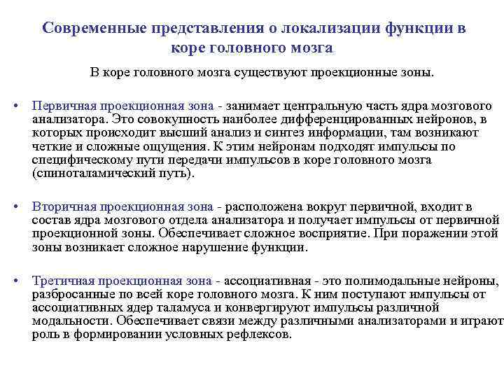 Современные представления о локализации функции в коре головного мозга В коре головного мозга существуют