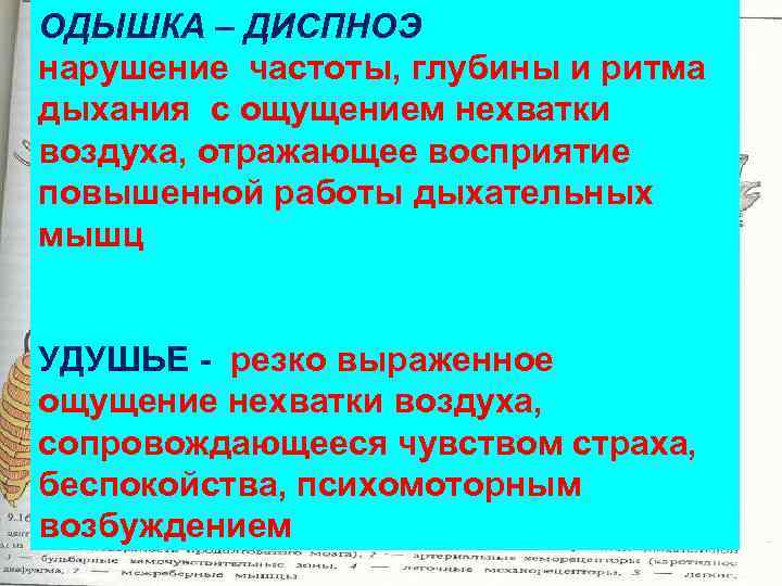 Нарушение частоты. Нарушения ритма и глубины дыхания. Частота глубина и ритм дыхания. Нарушение частоты дыхания. Определение частоты ритма и глубины дыхания.