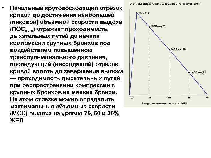 Кривая стефана в стоматологии презентация