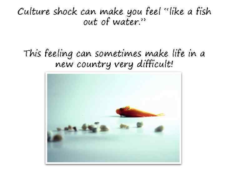 Culture shock can make you feel “like a fish out of water. ” This