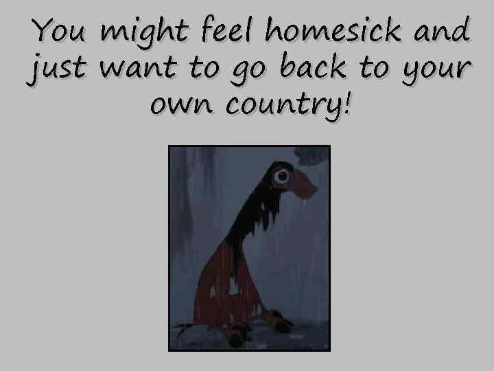 You might feel homesick and just want to go back to your own country!