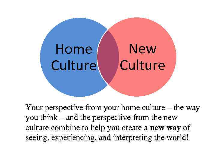 Home Culture New Culture Your perspective from your home culture – the way you