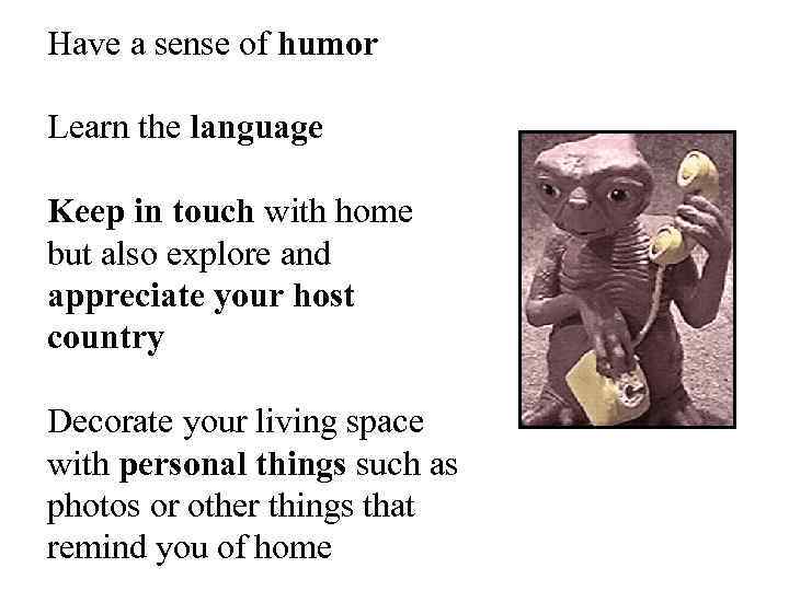 Have a sense of humor Learn the language Keep in touch with home but