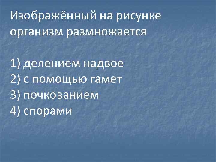 Изображённый на рисунке организм размножается 1) делением надвое 2) с помощью гамет 3) почкованием