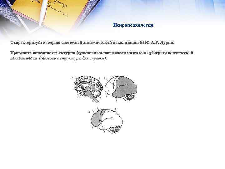 Нейропсихология Охарактеризуйте теорию системной динамической локализации ВПФ А. Р. Лурии; Приведите описание структурно-функциональной модели