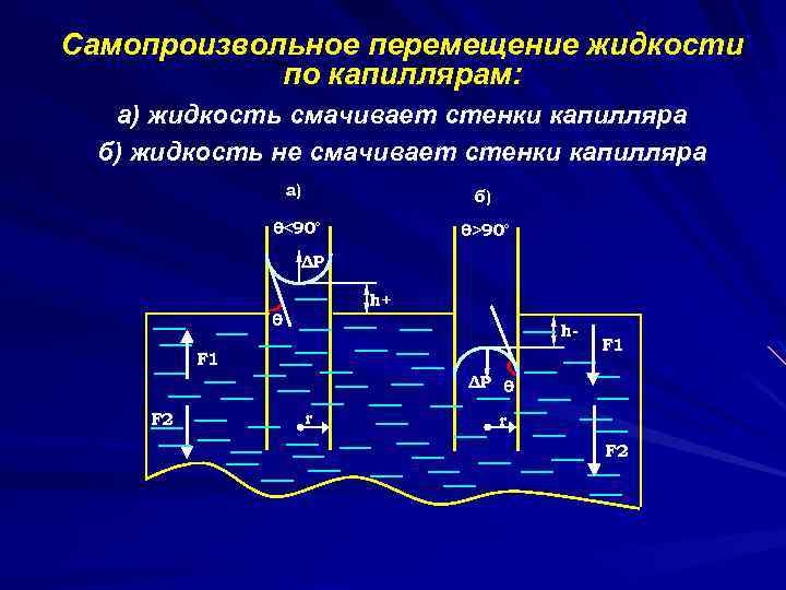 Механизмы перехода жидкости через стенку капилляра