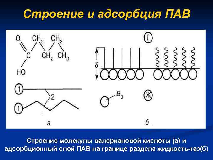 Схема адсорбция пав