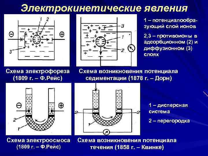 Электрокинетические явления 1 – потенциалообразующий слой ионов 2, 3 – противоионы в адсорбционном (2)