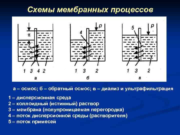 Схемы мембранных процессов а – осмос; б – обратный осмос; в – диализ и