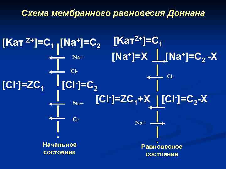 Схема мембранного равновесия Доннана [Kат Z+]=C 1 [Na+]=C Na+ 2 [Kат. Z+]=C 1 [Na+]=X