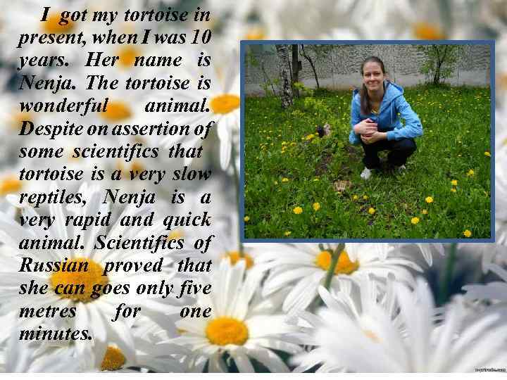 I got my tortoise in present, when I was 10 years. Her name is