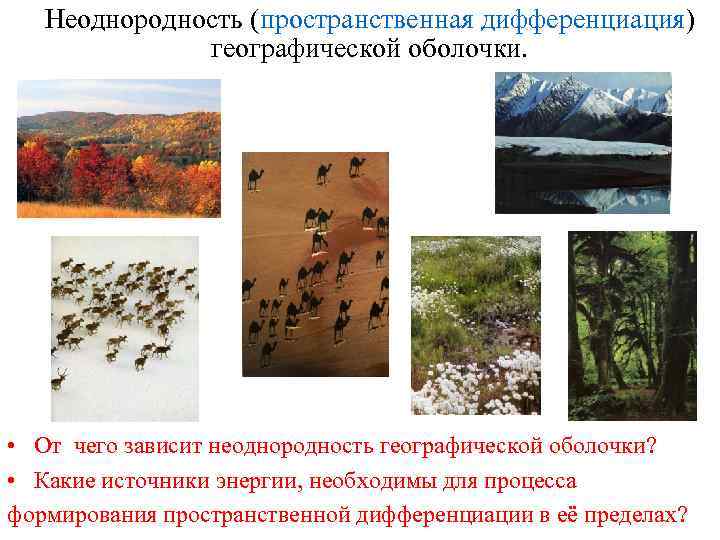 Неоднородность (пространственная дифференциация) географической оболочки. • От чего зависит неоднородность географической оболочки? • Какие