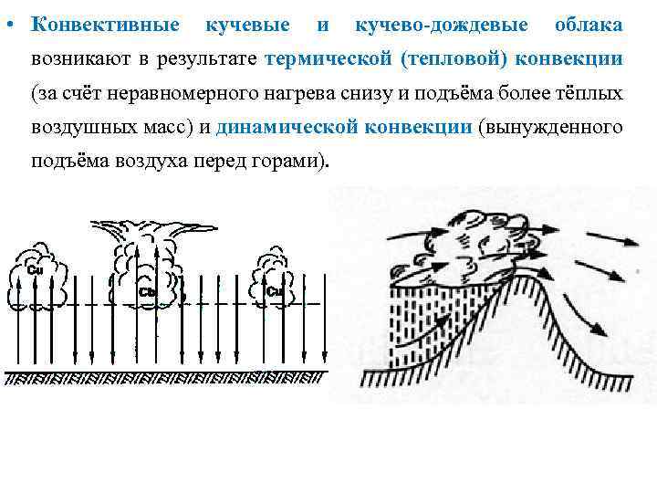  • Конвективные кучевые и кучево-дождевые облака возникают в результате термической (тепловой) конвекции (за