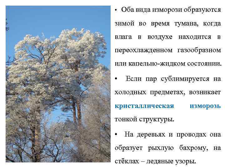  • Оба вида изморози образуются зимой во время тумана, когда влага в воздухе