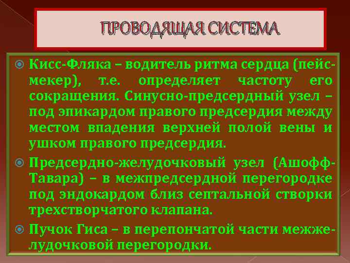 ПРОВОДЯЩАЯ СИСТЕМА Кисс-Фляка – водитель ритма сердца (пейсмекер), т. е. определяет частоту его сокращения.