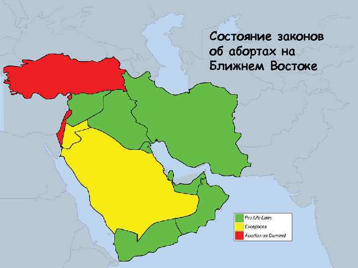 Состояние законов об абортах на Ближнем Востоке 10 