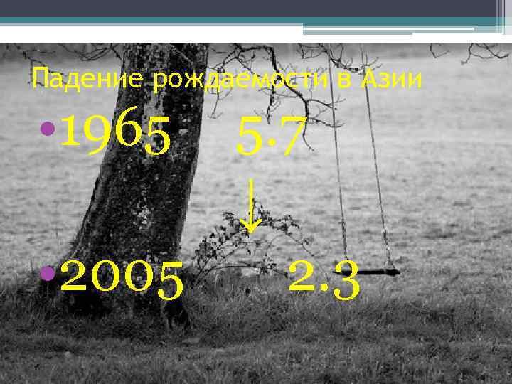 Падение рождаемости в Азии • 1965 5. 7 ↓ • 2005 2. 3 