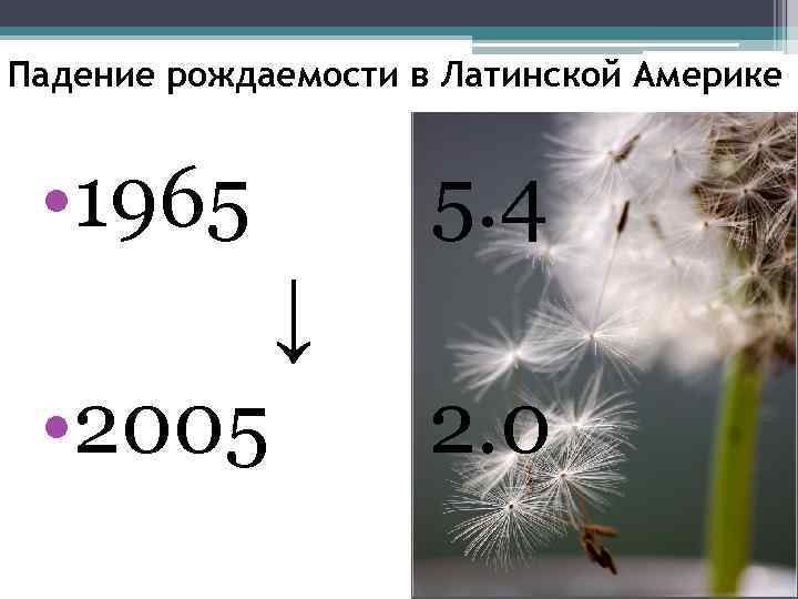 Падение рождаемости в Латинской Америке • 1965 5. 4 ↓ • 2005 2. 0