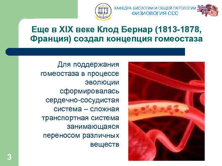 КАФЕДРА БИОЛОГИИ И ОБЩЕЙ ПАТОЛОГИИ ФИЗИОЛОГИЯ ССС Еще в XIX веке Клод Бернар (1813