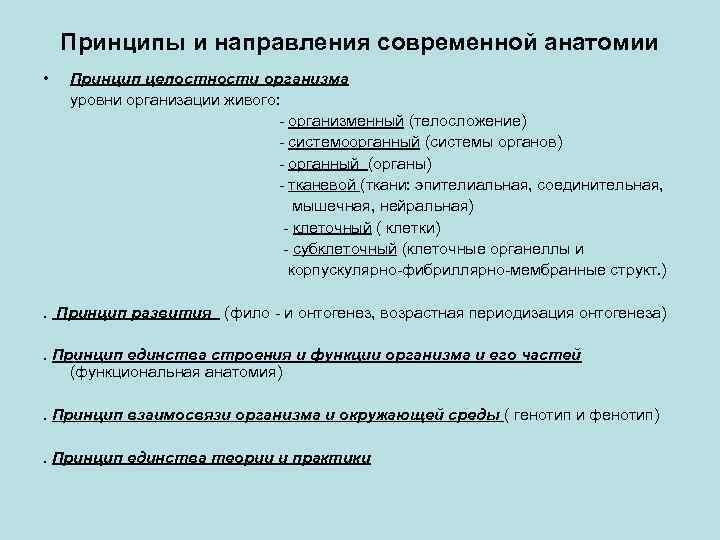 Разделы анатомии