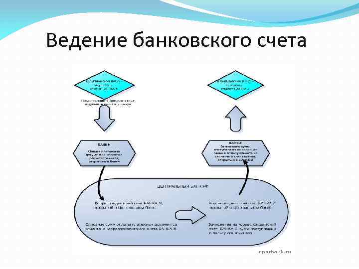 Виды банковских счетов Порядок открытия ведения и закрытия