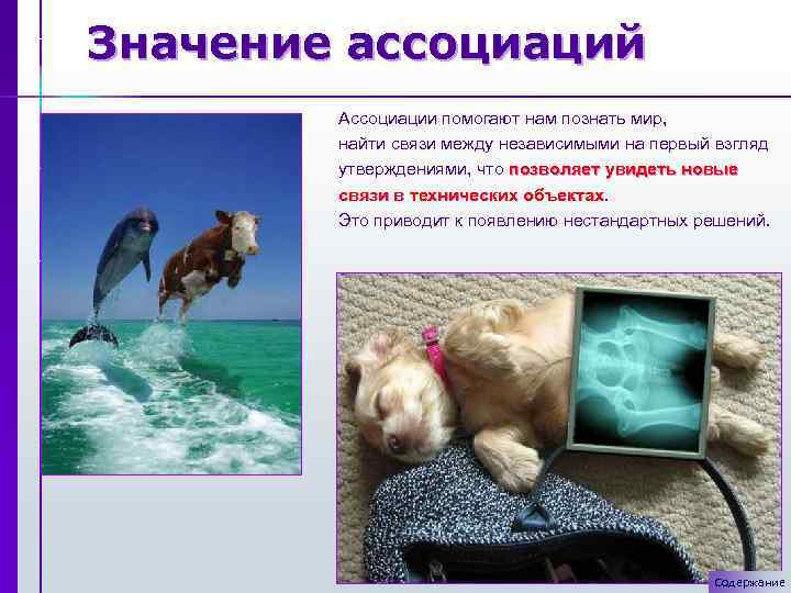 Значение ассоциаций Ассоциации помогают нам познать мир, найти связи между независимыми на первый взгляд