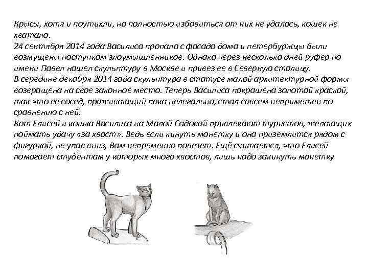 Крысы, хотя и поутихли, но полностью избавиться от них не удалось, кошек не хватало.
