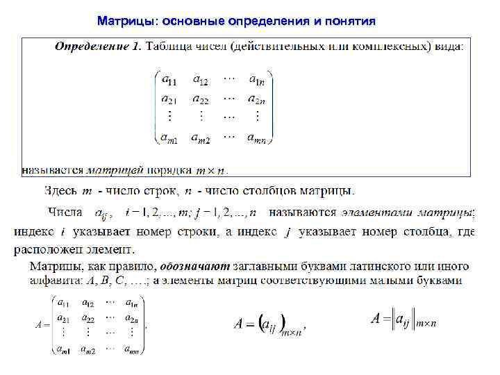 Матрицы: основные определения и понятия 