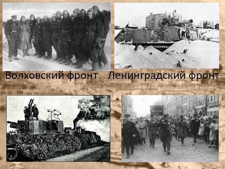 Волховский фронт Ленинградский фронт 