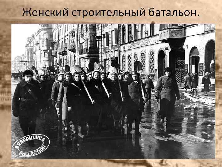 Женский строительный батальон. . 