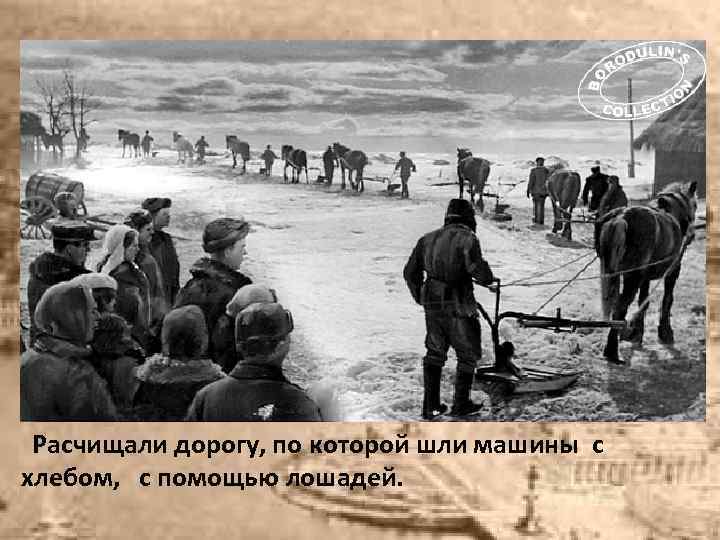 Расчищали дорогу, по которой шли машины с хлебом, с помощью лошадей. 