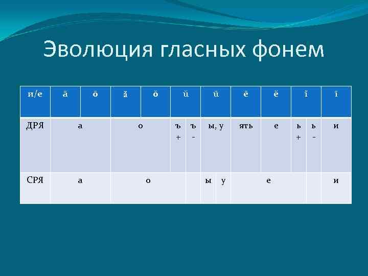 Эволюция гласных фонем и/е ā ō ДРЯ а СРЯ а ŏ ă о ŭ