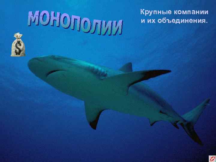 Крупные компании и их объединения. 