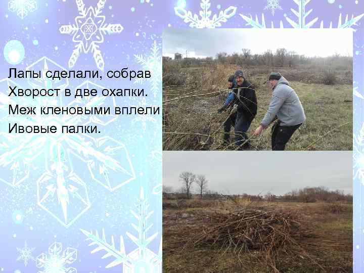 Лапы сделали, собрав Хворост в две охапки. Меж кленовыми вплели Ивовые палки. 