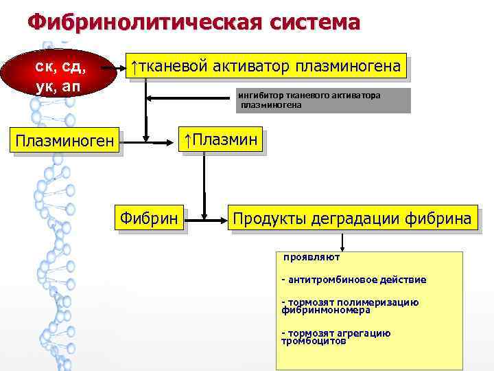 Фибринолитическая система ск, сд, ук, ап ↑тканевой активатор плазминогена ингибитор тканевого активатора плазминогена Плазминоген