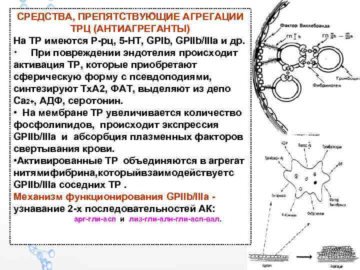 СРЕДСТВА, ПРЕПЯТСТВУЮЩИЕ АГРЕГАЦИИ ТРЦ (АНТИАГРЕГАНТЫ) На ТР имеются Р-рц, 5 -НТ, GPIb, GPIIb/IIIa и