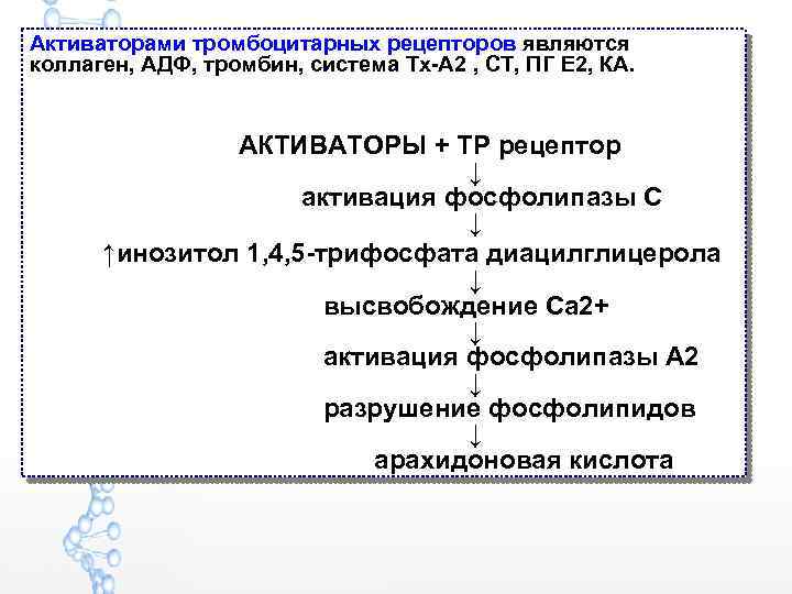 Активаторами тромбоцитарных рецепторов являются коллаген, АДФ, тромбин, система Тх-А 2 , СТ, ПГ Е