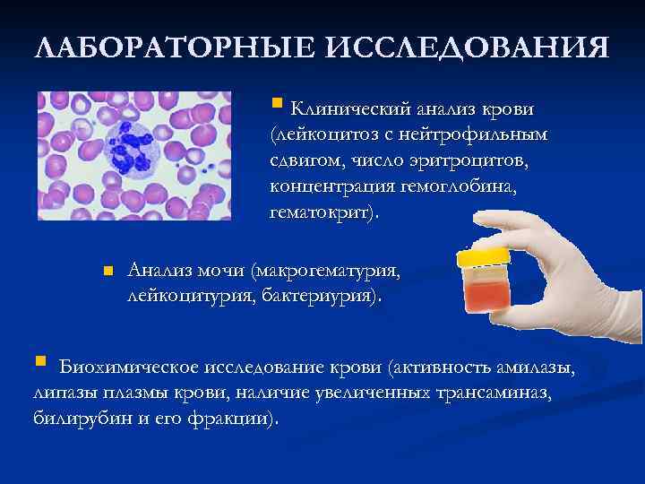 ЛАБОРАТОРНЫЕ ИССЛЕДОВАНИЯ § Клинический анализ крови (лейкоцитоз с нейтрофильным сдвигом, число эритроцитов, концентрация гемоглобина,