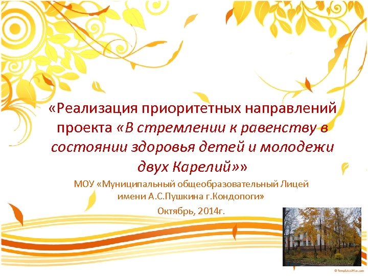  «Реализация приоритетных направлений проекта «В стремлении к равенству в состоянии здоровья детей и