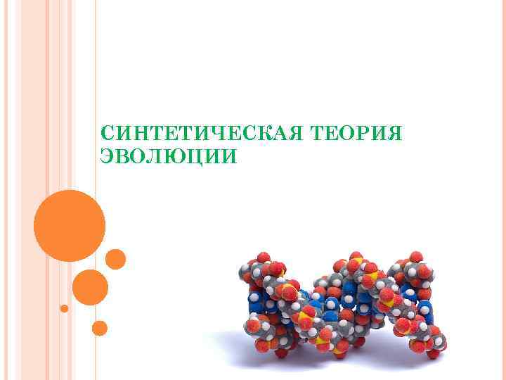 СИНТЕТИЧЕСКАЯ ТЕОРИЯ ЭВОЛЮЦИИ 