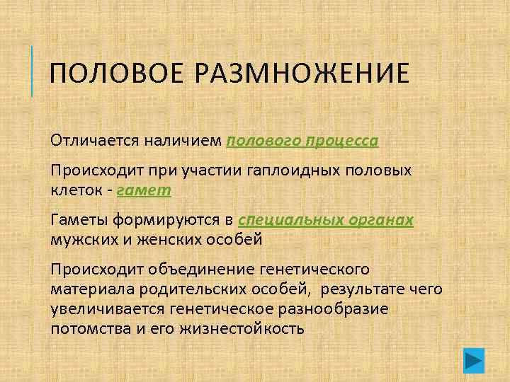 ПОЛОВОЕ РАЗМНОЖЕНИЕ Отличается наличием полового процесса Происходит при участии гаплоидных половых клеток - гамет