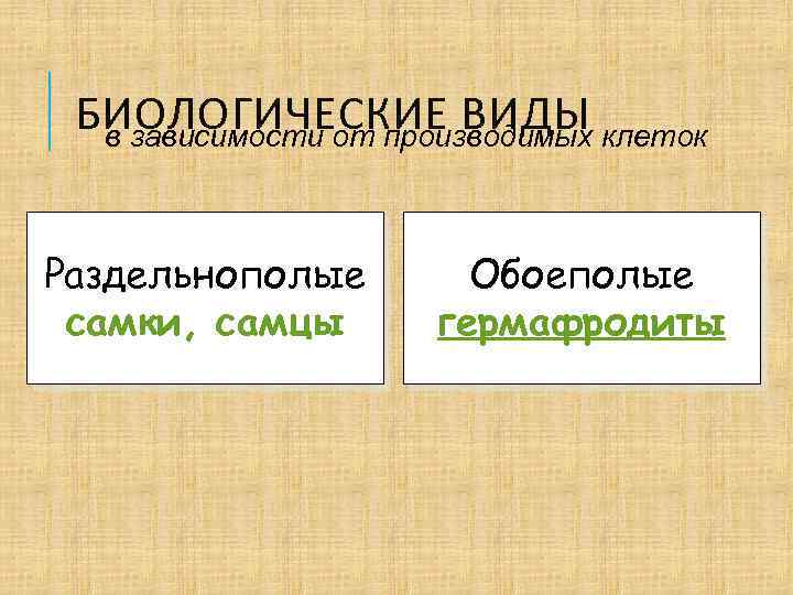 БИОЛОГИЧЕСКИЕ ВИДЫ клеток в зависимости от производимых Раздельнополые самки, самцы Обоеполые гермафродиты 