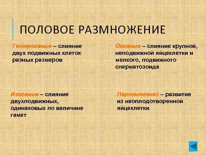 ПОЛОВОЕ РАЗМНОЖЕНИЕ Гетерогамия – слияние двух подвижных клеток разных размеров Оогамия – слияние крупной,