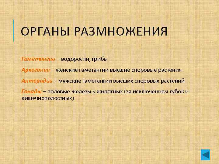 ОРГАНЫ РАЗМНОЖЕНИЯ Гаметангии – водоросли, грибы Архегонии – женские гаметангии высшие споровые растения Антеридии