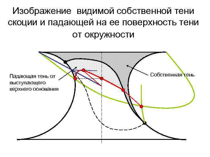 Изображение видимой собственной тени скоции и падающей на ее поверхность тени от окружности Падающая