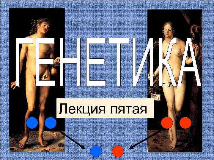 Лекция пятая 