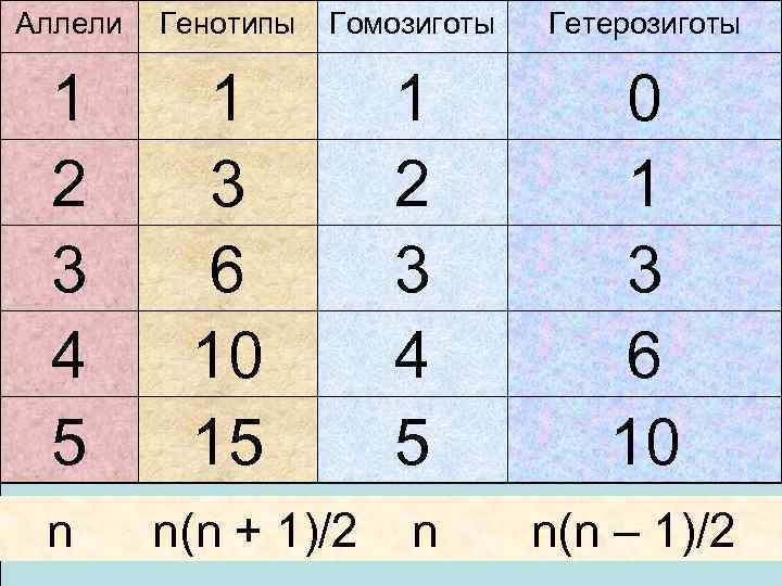 Аллели Генотипы Гомозиготы Гетерозиготы 1 2 3 4 5 1 3 6 10 15