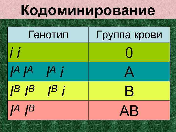 Генотип типы. Кодоминирование наследование групп крови. Кодоминирование 4 группа крови. Доминирование. Генотипы групп крови.