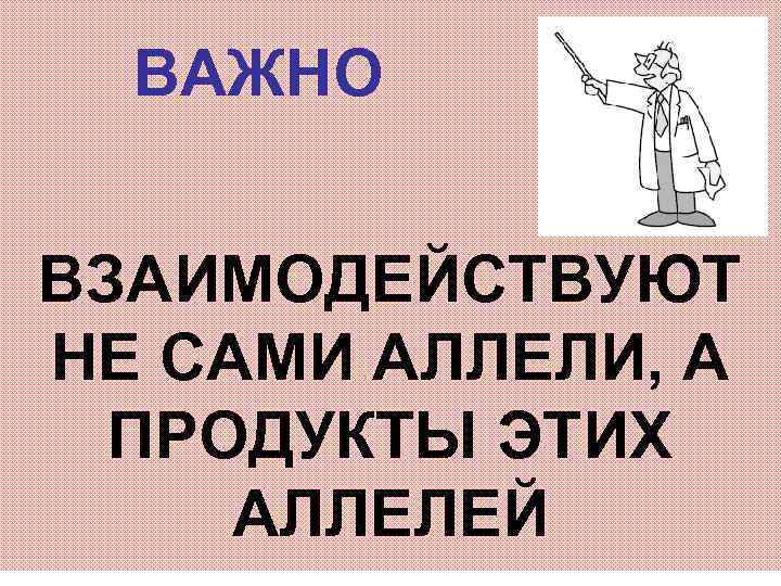 ВАЖНО ВЗАИМОДЕЙСТВУЮТ НЕ САМИ АЛЛЕЛИ, А ПРОДУКТЫ ЭТИХ АЛЛЕЛЕЙ 